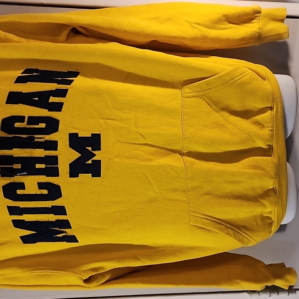 Michigan Wolverines unisex hoodie. - Picture 3 of 8